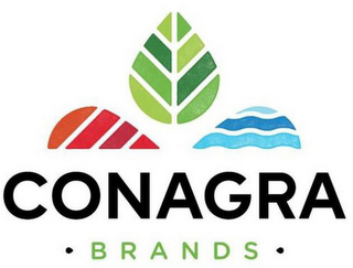CONAGRA · BRANDS · logo