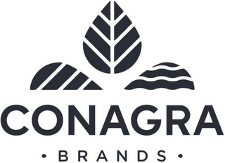 CONAGRA · BRANDS · logo