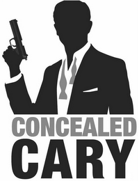 CONCEALED CARY logo