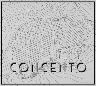 CONCENTO