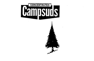 CONCENTRATED CAMPSUDS