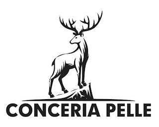 CONCERIA PELLE logo