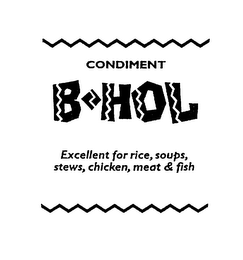 CONDIMENT B-HOL EXCELLENT FOR RICE, SOUPS, STEWS, CHICKEN, MEAT & FISH logo
