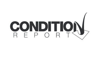 CONDITION REPORT logo