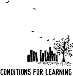 CONDITIONS FOR LEARNING logo