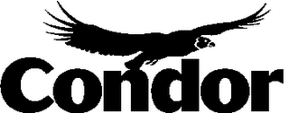CONDOR logo
