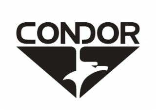 CONDOR logo