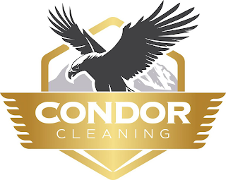 CONDOR CLEANING logo