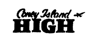 CONEY ISLAND HIGH logo
