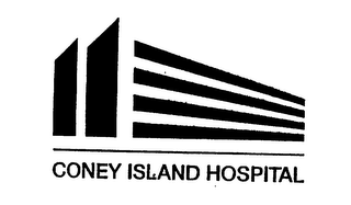 CONEY ISLAND HOSPITAL logo