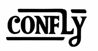 CONFLY logo