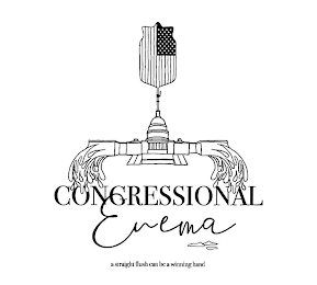 CONGRESSIONAL ENEMA A STRAIGHT FLUSH CAN BE A WINNING HAND logo