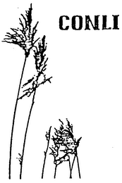 CONLI logo