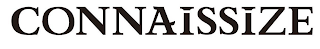 CONNAISSIZE logo