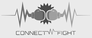 CONNECT N FIGHT logo