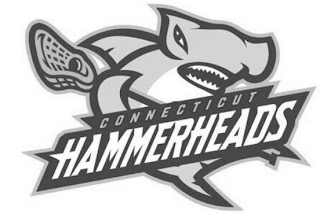 CONNECTICUT HAMMERHEADS logo