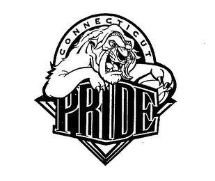 CONNECTICUT PRIDE logo