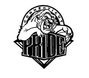 CONNECTICUT PRIDE logo