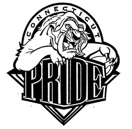 CONNECTICUT PRIDE logo