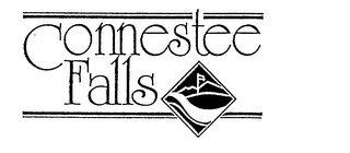 CONNESTEE FALLS logo