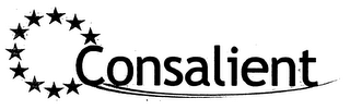 CONSALIENT logo