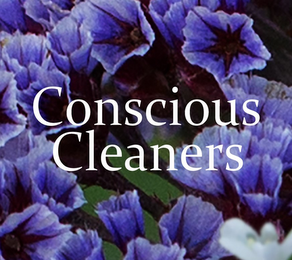 CONSCIOUS CLEANERS logo