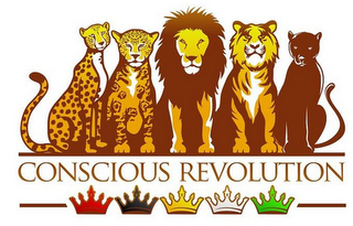 CONSCIOUS REVOLUTION logo