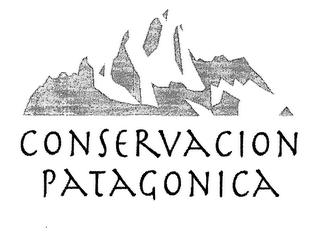 CONSERVACION PATAGONICA logo