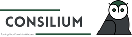 CONSILIUM TURNING YOUR DATA INTO WISDOM logo