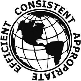 CONSISTENT APPROPRIATE EFFICIENT logo