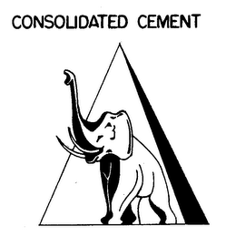 CONSOLIDATED CEMENT logo