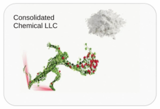 CONSOLIDATED CHEMICAL LLC logo