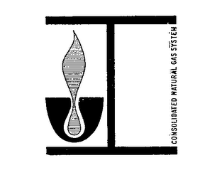 CONSOLIDATED NATURAL GAS SYSTEM logo