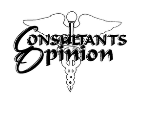 CONSULTANTS OPINION logo