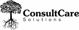 CONSULTCARE SOLUTIONS logo