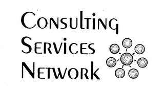 CONSULTING SERVICES NETWORK logo
