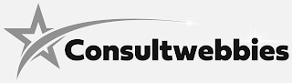 CONSULTWEBBIES logo
