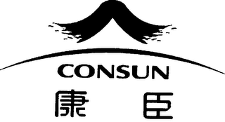 CONSUN logo