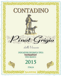 CONTADINO PINOT GRIGIO DELLE VENEZIE INDICAZIONE GEOGRAFICA TIPICA VINO BIANCO 2015 ITALIA SANTINI logo