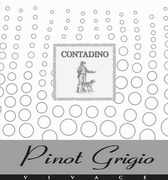 CONTADINO PINOT GRIGIO VIVACE logo