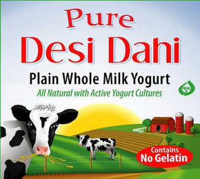 "CONTAINS NO GELATIN" "ORIGINAL HOMESTYLE" "PURE DESI DAHI" "ALL NATURAL * PREMIUM * WHOLE MILK YOGURT" "NET WT 32OZ (907G) logo