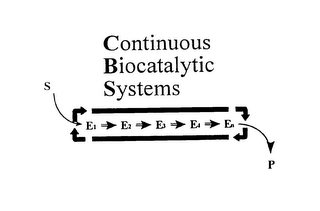 CONTINUOUS BIOCATALYTIC SYSTEMS S E1 E2 E3 E3 EN P logo