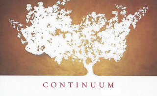 CONTINUUM logo