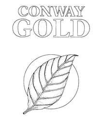 CONWAY GOLD logo