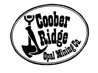 COOBER RIDGE OPAL MINING CO. logo
