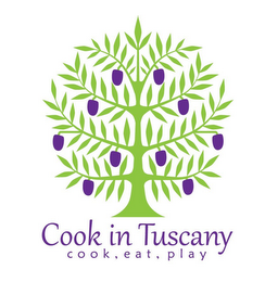 COOK IN TUSCANY COOK EAT PLAY logo