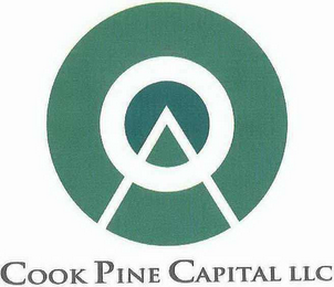 COOK PINE CAPITAL LLC logo