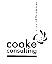COOKE CONSULTING UNLEASHING POTENTIAL logo