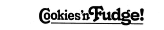 COOKIES 'N FUDGE! logo