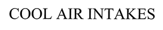 COOL AIR INTAKES logo